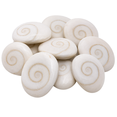 Gomti Chakra